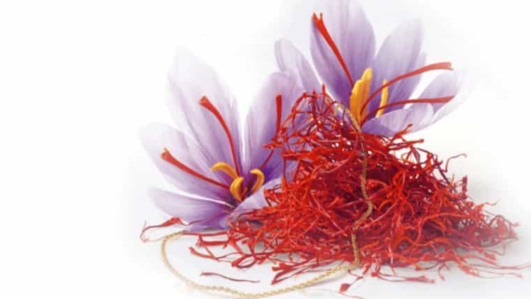 خرید زعفران درجه یک در بوشهر