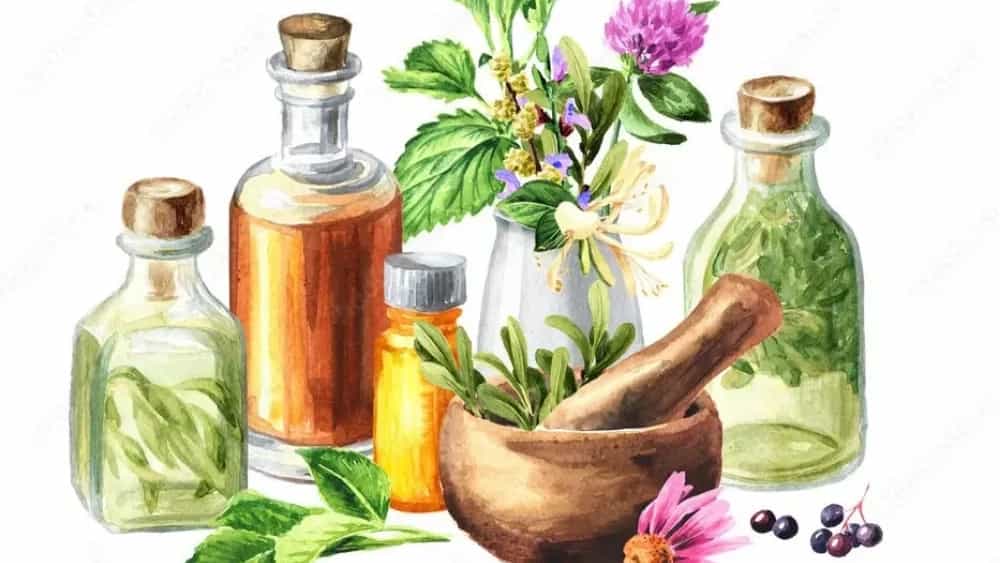 فروش ادویه خانگی در بوشهر با قیمت مناسب